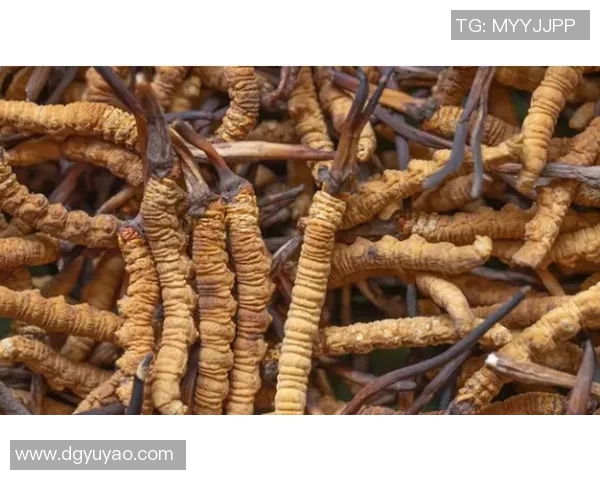 揭秘足球界的钻石牙传奇人物是谁 揭秘足球界的钻石牙传奇人物是谁