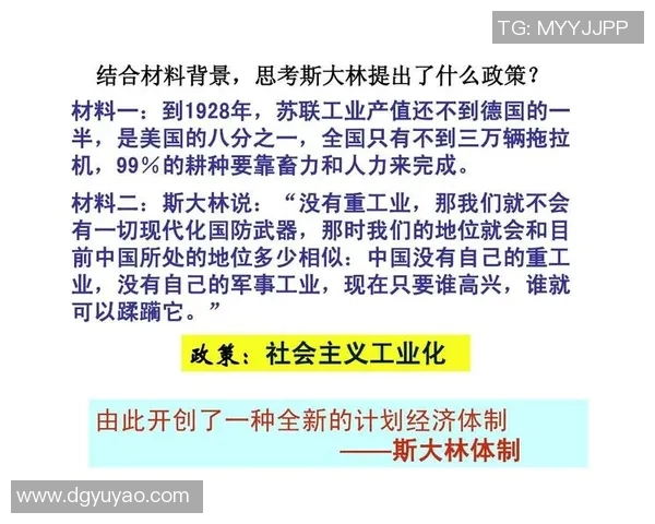 武汉排球队逆袭之路：重塑战术与团队精神的全新探索