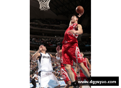 NBA球星自传：荣耀与奋斗的篇章