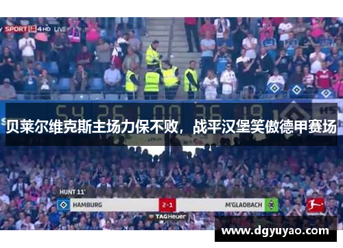 贝莱尔维克斯主场力保不败，战平汉堡笑傲德甲赛场