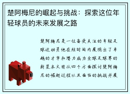 楚阿梅尼的崛起与挑战：探索这位年轻球员的未来发展之路
